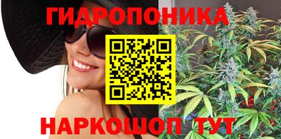 Альфа ПВП Берёзовский