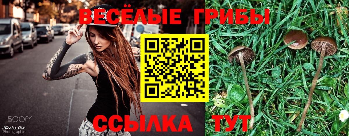 Канаш  Галлюциногенные грибы Cubensis  Вход с VPN  Галлюциногенные грибы Psilocybine cubensis 